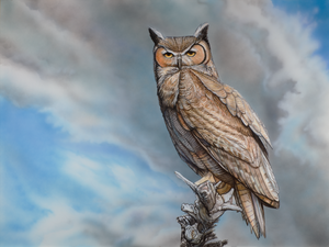 Original Watercolor Painting- "Perched for Prey"