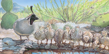 Load image into Gallery viewer, Watercolor and airbrushed painting of a Gambel’s quail with chicks at a desert watering hole, surrounded by bees and cactus, by artist Ian Russell