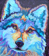 Load image into Gallery viewer, Aragon