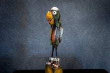 Load image into Gallery viewer, Edgard