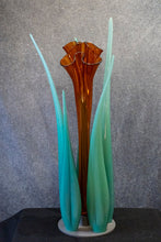 Load image into Gallery viewer, Agave