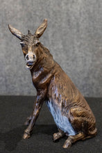 Load image into Gallery viewer, Donkey Smartass
