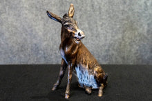 Load image into Gallery viewer, Donkey Smartass