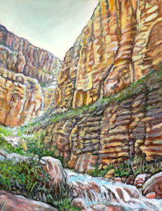 Original Oil Painting- "Grand Canyon: Tapeats Canyon"