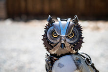 Load image into Gallery viewer, Fiercely Wise