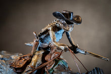 Load image into Gallery viewer, Horny Toad Express
