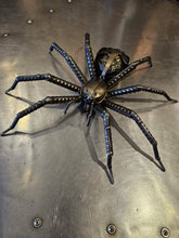 Load image into Gallery viewer, Wolf Spider by David Groenjes