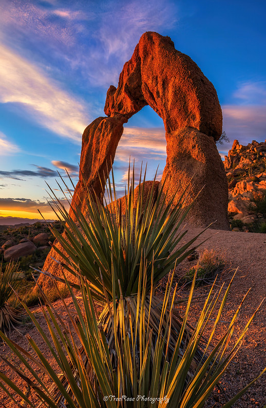 A Dance of Clouds at Scorpion Arch 2