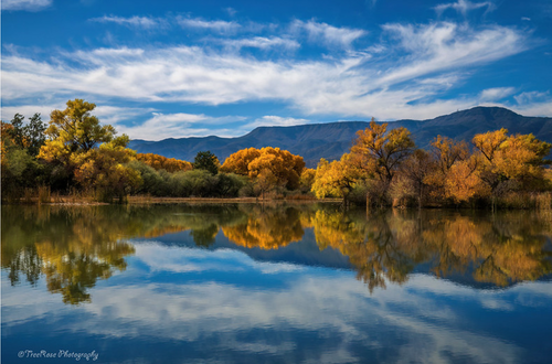 Calm Autumn Reflections at Dead Horse Ranch State Park