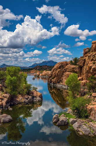 Calm Cove Reflections