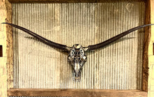 Load image into Gallery viewer, Lone Star Longhorn