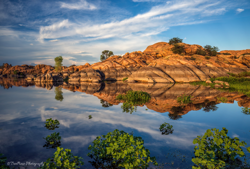 Summer Reflections at Willow Lake