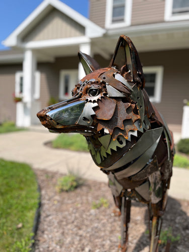 Enemy of the State – Life-sized wolf metal sculpture by David Groenjes, handcrafted from reclaimed metal and welded steel, available at Ian Russell Gallery in Prescott, AZ.