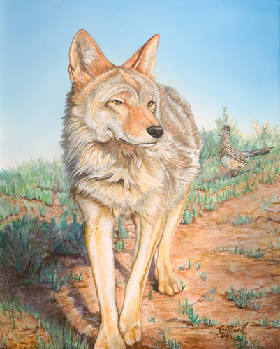 Watercolor and airbrushed painting of a coyote walking through the desert with a roadrunner in the background by artist Ian Russell

