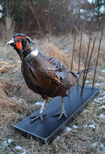 Load image into Gallery viewer, Losing Ground&quot; – Metal pheasant sculpture by artist David Groenjes, crafted from reclaimed steel and found objects, displayed in an outdoor natural setting.