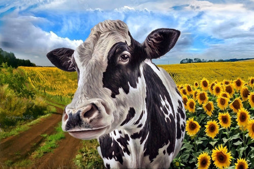 Cow in Sunflowers