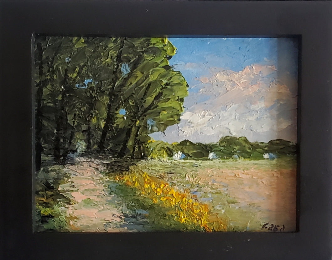 Sunlit Path
