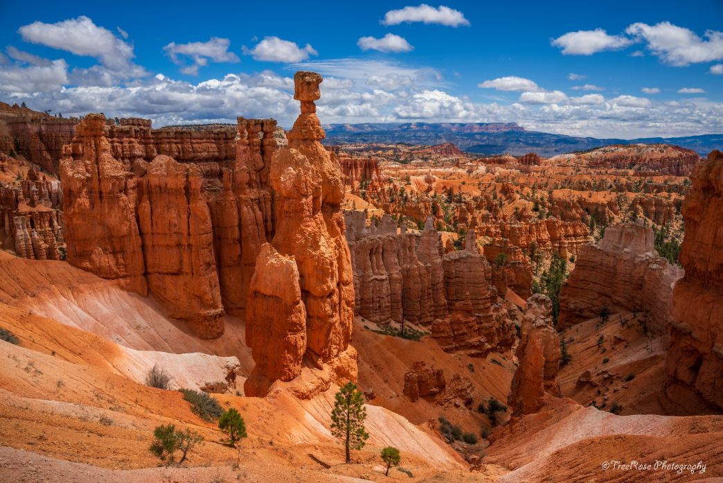 Thor’s Hammer hoodoo in Bryce Canyon National Park, Utah, with dramatic red rock formations, blue sky, and scattered clouds, photographed by Theresa Rose.