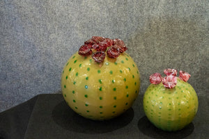 Medium Barrel Cactus (multiple color variations available)