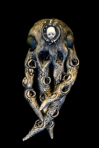 Baby Head Squid