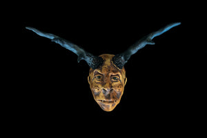 Black Horn Mask