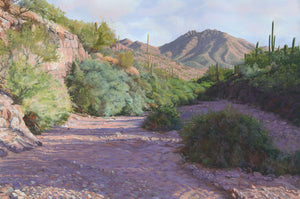 Desert Arroyo