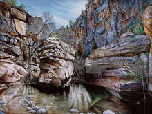 Load image into Gallery viewer, Beaver Creek Log Jam