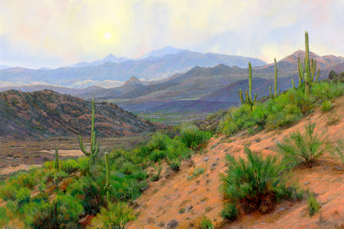 Desert Vista II