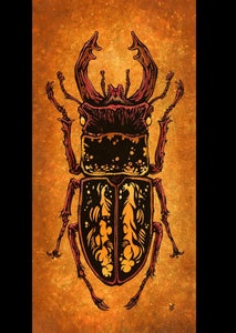 The Stag Beetle